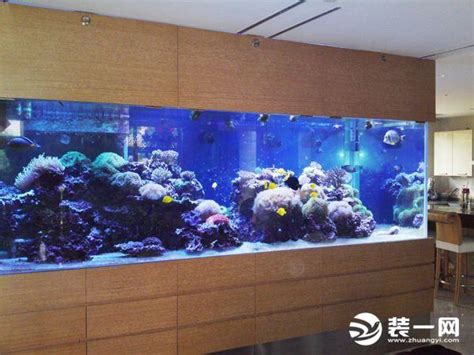 水族箱風水|魚缸風水擺放要注意什麼？張教授教你擺出好運來 